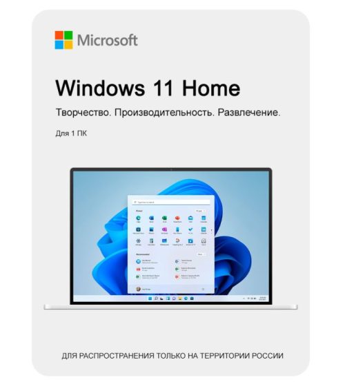 Microsoft Windows 11 Home x64