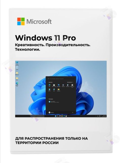Microsoft Windows 11 Pro x64
